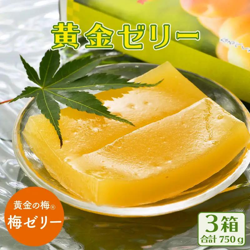【期間限定】夏の水羊羹！「黄金ゼリー」 250g × 3箱（計750g）  白餡と「黄金梅」ピューレ [e07-a015]