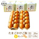 【ふるさと納税】 たまご お米 セット 極み卵かけご飯 明野のたまご 20個 武川米 農林48号 450g×3袋 山梨県 北杜市産 仕送りギフト