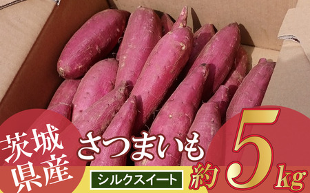 【先行予約 2025年9月～順次発送】さつまいも 5kg　(シルクスイート) │ さつまいも さつまいも さつまいも さつまいも