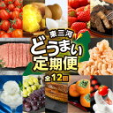 【ふるさと納税】東三河 どうまい 定期便 全12回 いちご / トマト / えび / ステーキ / ミニトマト / アイス / シャインマスカット / 梨 / 焼き芋 / 柿 / 牛肉 定期 高評価 お楽しみ ぶどう フルーツ 鰻 苺 むきえび 冷凍 訳あり 1年 12回 愛知県 豊橋市 送料無料 150000円