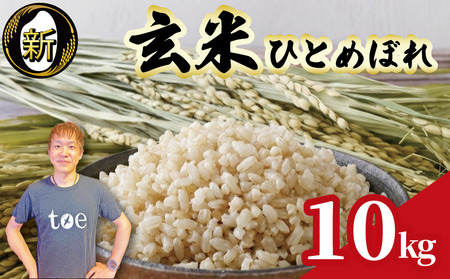 【予約受付】玄米 ひとめぼれ 10kg  国産 edama 牧之原市