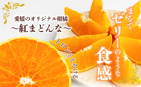 数量限定 紅まどんな 青秀3L～L（10玉～15玉） 果物類 柑橘類 フルーツ みかん 柔らかい 甘い 美味しい ゼリー プレミアム 柑橘 