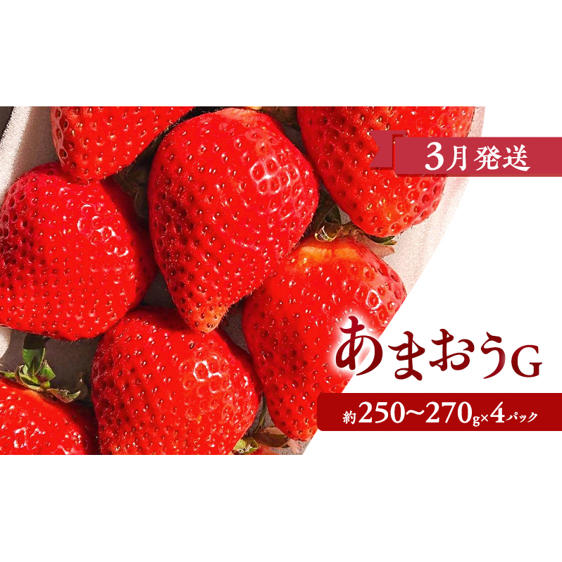 【2026年3月上旬より発送開始】【予約受付・3回定期便】あまおう満喫セット ※配送不可：北海道・沖縄県・離島_イメージ3
