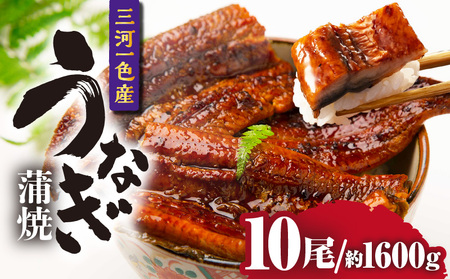 三河一色産うなぎ蒲焼 10尾（約1600g）・O072