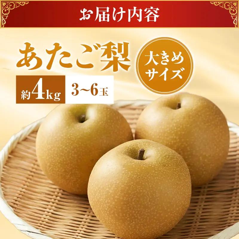 【2026年先行受付】 梨 あたご梨  秀品 約4kg(3～6玉)  梨