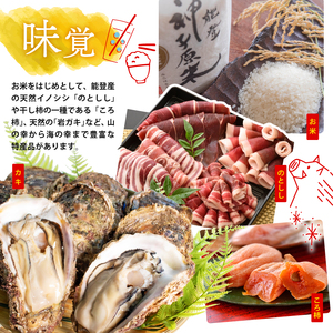 ジェラート 専門店 6個セット マエストロ こだわり ジェラート