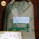 【ふるさと納税】A24-037 鹿野のさくら姫米（コシヒカリ）5kg