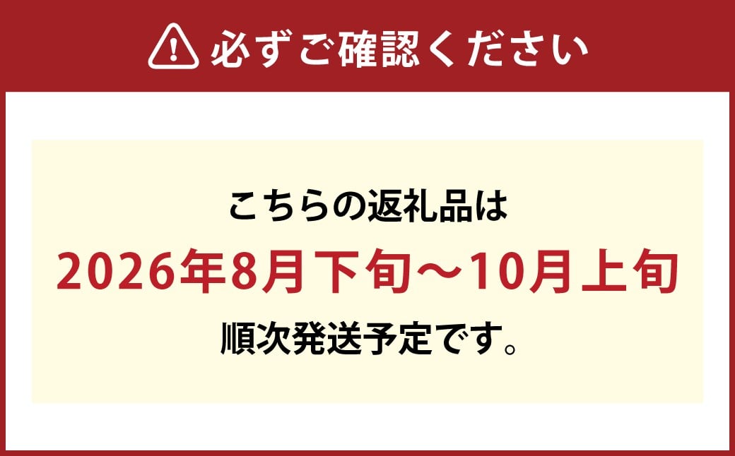 岡山県産 ニューピオーネ  4房