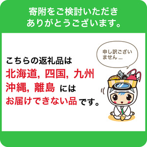 【先行受付 2025年5月中旬～6月中旬発送予定】【数量限定】 生産者直送　ジューシー袋詰めびわ（訳あり混合サイズ12～15個） mi0057-0001 びわ ビワ 枇杷 千葉県 先行予約 数量限定 