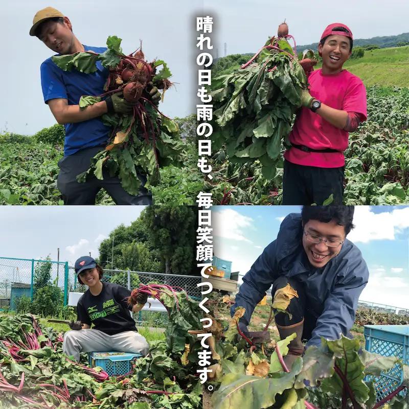 【最短翌日発送】 ビーツ水煮 200g 7袋 (1.4kg) ビーツ レトルト パウチ 神奈川県 平塚市