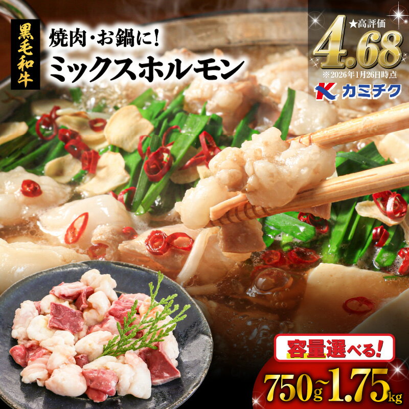 【ふるさと納税】＜容量選べる＞ 焼肉 お鍋 に！ ミックスホルモン 750g or 1.75kg 肉 牛 ホルモン 牛肉 黒毛和牛 もつ鍋 鍋 おかず つまみ 国産 もつ 小腸 シマ腸 小分け パック カミチク ふるさと納税 鹿児島 鹿児島市 おすすめ ランキング プレゼント ギフト
