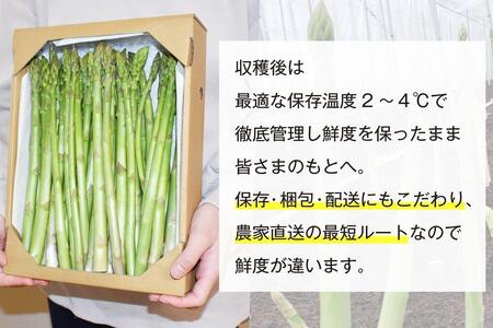 【朝採り直送】夏芽アスパラガス 1kg（2L-Lサイズ）福岡県産 2026年