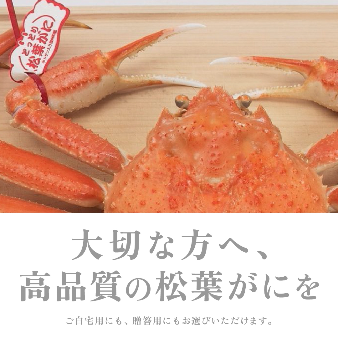 
            【ボイル】訳あり 松葉がに 600g超の大きいサイズ 食べ応えあり　1杯
          