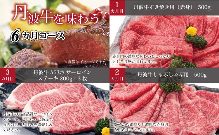 【6回定期便】丹波牛を味わう定期便 6カ月連続 定期便 ( 定期便 和牛 黒毛和牛 京都 丹波 丹波牛 牛肉 すき焼き 焼肉 しゃぶしゃぶ 鍋 ステーキ A5 サーロイン ローストビーフ ハンバーグ 