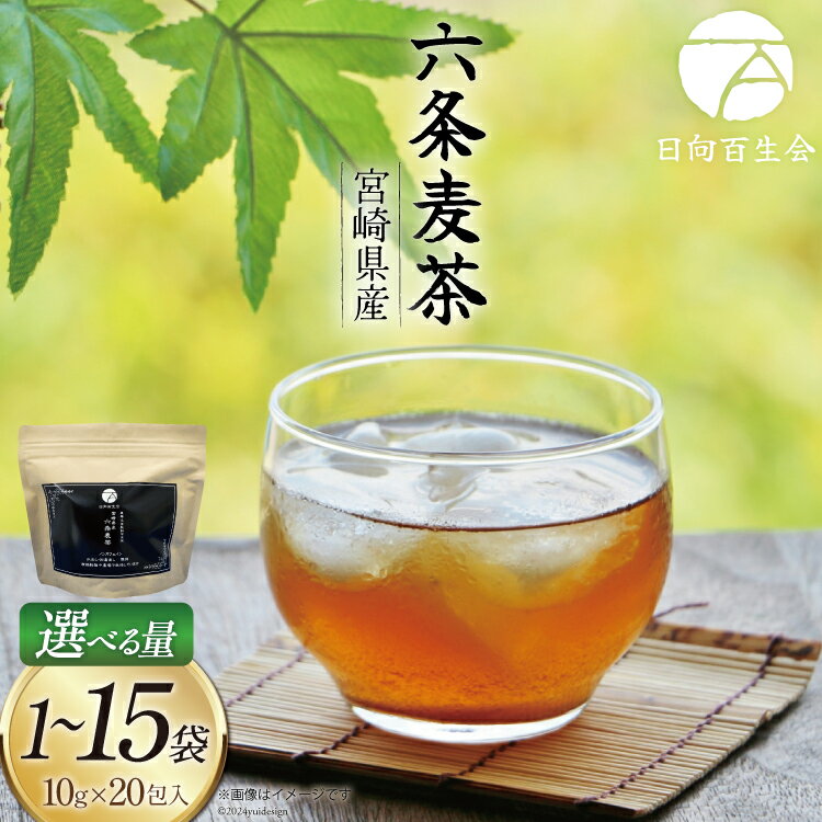 【ふるさと納税】お茶 選べる 内容量 六条麦茶 10g 20包 1袋 〜 15袋 [日向百生会 宮崎県 日向市] 麦茶 むぎ茶 水出し 煮出し ティーバッグ 国産 ノンカフェイン