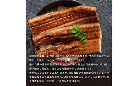 天の鰻2尾セット FN-Limited-WE
