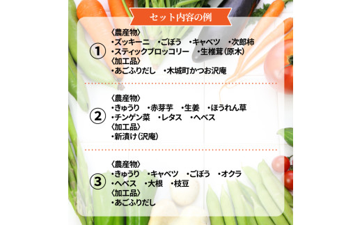 農家おまかせ木城の旬野菜定期便3回 K04_T001_2