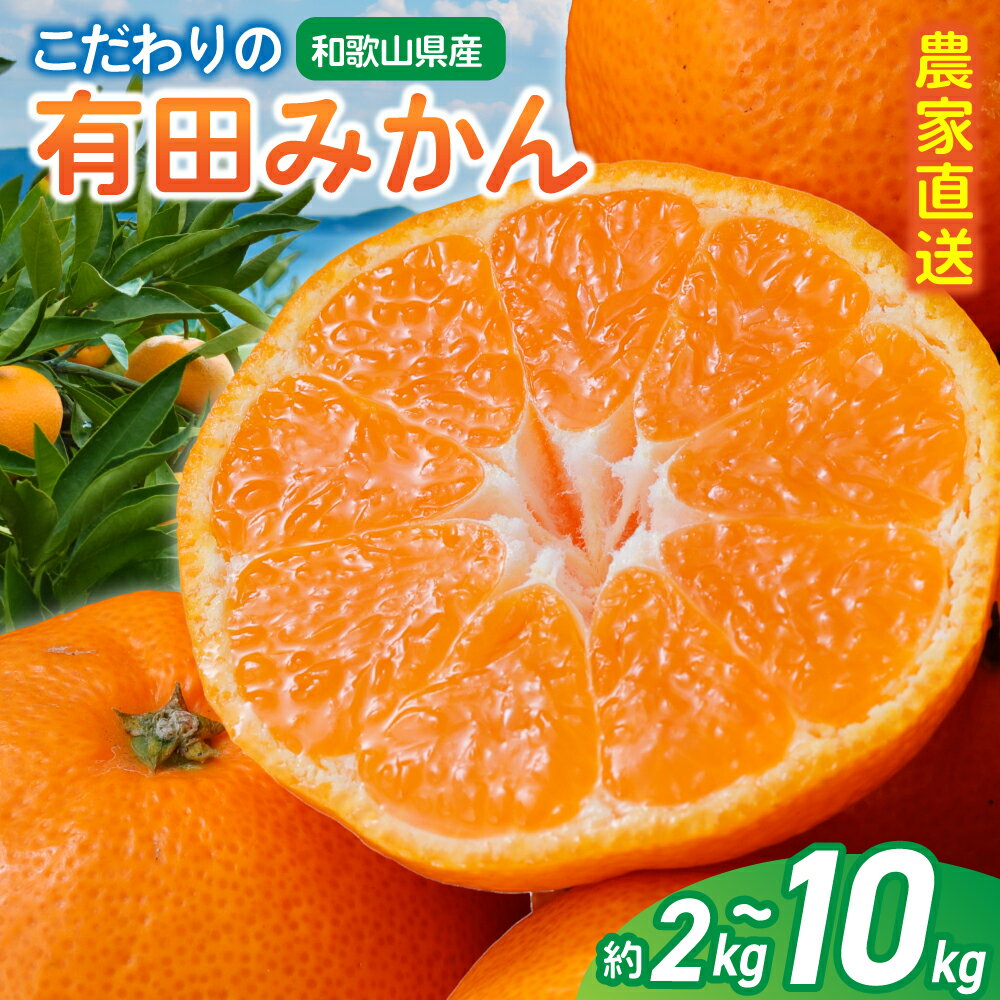 【ふるさと納税】 【ご家庭用】農家直送 こだわりの完熟有田みかん【選べる容量】 約2kg / 約4kg / 約5kg / 約6kg / 約8kg / 約10kg 【12月・1月発送から選択可能】みかん ミカン 有田みかん 温州みかん 柑橘 有田 和歌山 産地直送
