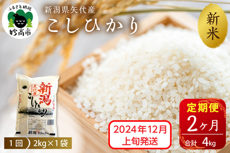 2024年12月上旬より発送【定期便】令和6年産 新潟県矢代産コシヒカリ2kg×2回（計4kg） 全2回 2回連続 2ヶ月 2ヵ月 こしひかり ブランド米 白米 精米 お米 コメ こめ ご飯 おにぎり 贈り物 ギフト 妙高市