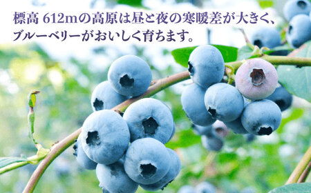 【全3回定期便】冷凍ブルーベリー 計1.2kg ( 400g × 3パック ) 熊本県産冷凍ブルーベリー 山都町産冷凍ブルーベリー ブルーベリー フルーツ ブルーベリースムージー 果物 小分け冷凍ブル