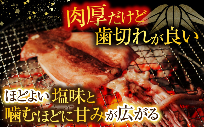 いか一夜干し2枚 G-11079