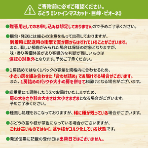 【2024年先行予約】福岡八女　お楽しみ夏のフルーツ定期便Ａ　ぶどう　シャインマスカット　豊水梨｜＜配送不可：北海道・沖縄・離島＞　072-T026