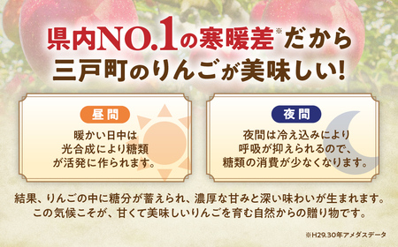 青森県産りんご サンふじ 約3kg 12月中旬～ りんご