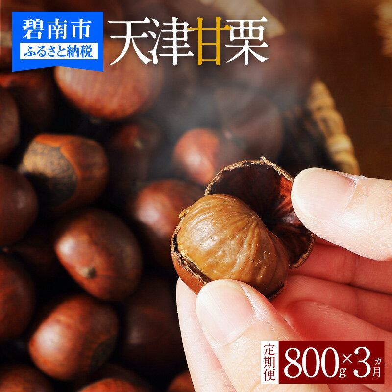 【ふるさと納税】旬限定 期間限定 定期便 この道50年の職人が焼く やさしく 甘い 天津甘栗 800g 甘み 糖度 おやつ 和菓子 スイーツ フルーツ 果物 職人 お取り寄せ お取り寄せグルメ お土産 レビュー 口コミ 愛知 碧南市 送料無料