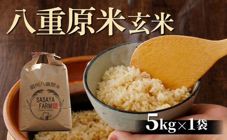 【寄附額改訂】令和８年新米予約！八重原米5kg（5kg×1袋）玄米 コシヒカリ 特A米 ※2026年10月以降順次発送｜笹屋農園「農薬削減長野県認証取得」　先行予約 お米