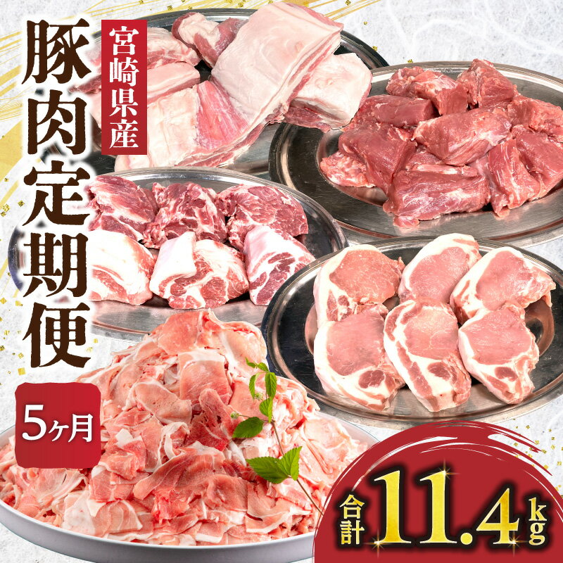 【ふるさと納税】【全5回】豚肉定期便 豚肉 肉 お肉 精肉 豚 セット 詰め合わせ 精肉セット 豚肉セット 定期便 定期 バラ ロース 切り落とし ヒレ 肩ロース ブロック ブロック肉 国産 宮崎県産 小分け パック 冷凍 ストック 普段使い 使い勝手 グルメ お取り寄せ 宮崎市