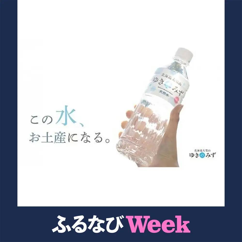 北海道大雪山ゆきのみず（550ml×24本入り）　1箱|  水 水