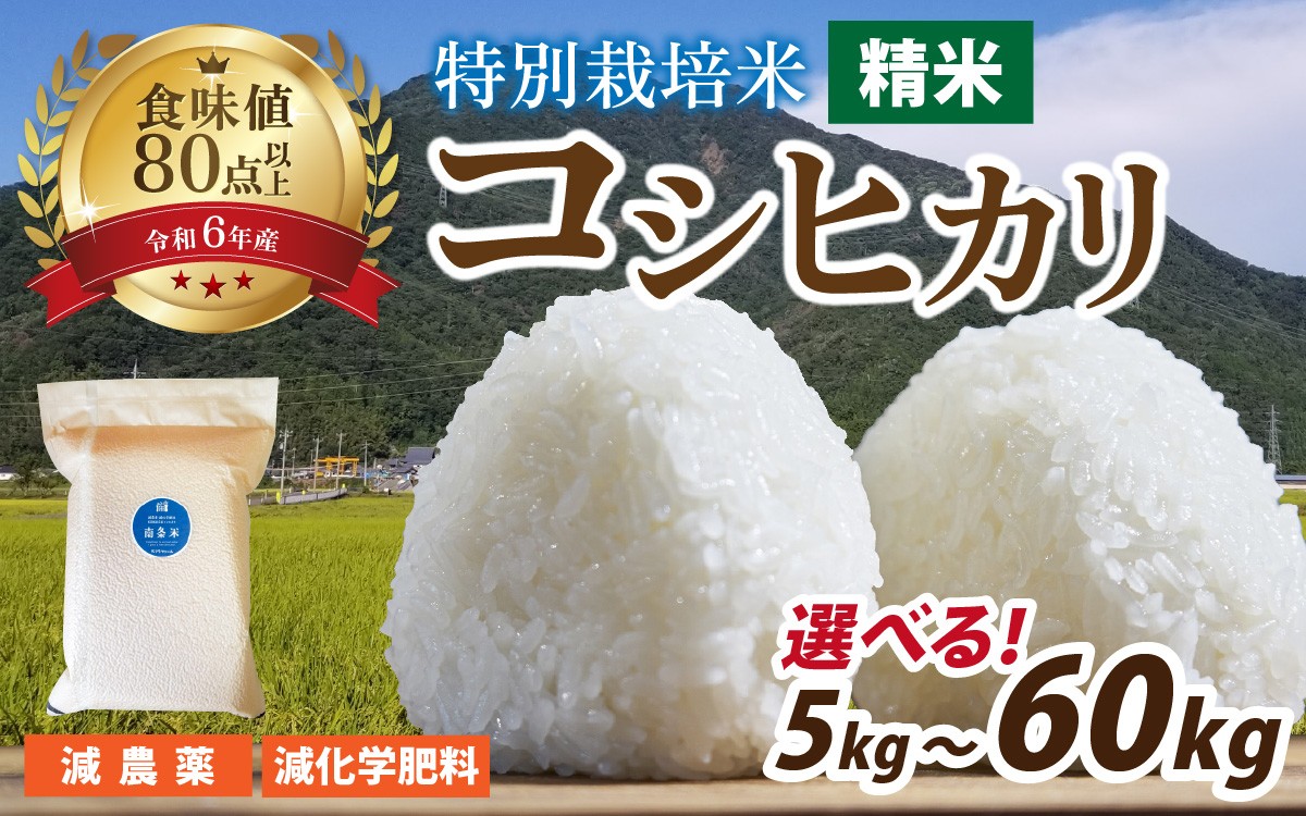 
            【先行予約】【 令和7年産 新米 】南条米 特別栽培米コシヒカリ 真空パック 精米5kg／10kg　選べる容量・配送回数【単発便1回、定期便（3ヶ月・6ヶ月）】【10月上旬より順次発送】
          
