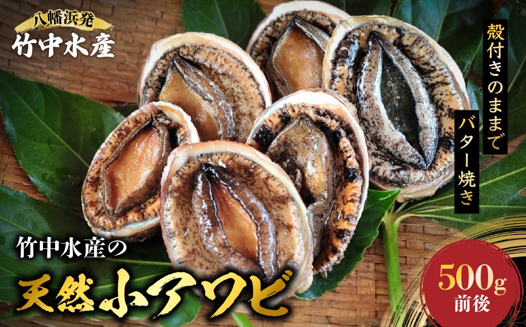 
                  竹中水産の天然小アワビ、殻付きのままでバター焼き500g前後(4～8個目安)＜D22-246＞_鮑 あわび アワビ 活きあわび 魚介 魚介類 海鮮 天然 活き 鮮魚 小ぶり 食べやすい バター焼き 冷蔵  BBQ 殻付 【1073903】 YWTM064
                