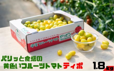パリッと食感の黄色いフルーツトマト ティポ 1.8kg (1箱) ジャム さっぱり 黄色い トマト 野菜 茨城県産 結城市産 国産 さっぱり 酸味が少ない 日持ち 食材 サラダ トッピング 料理