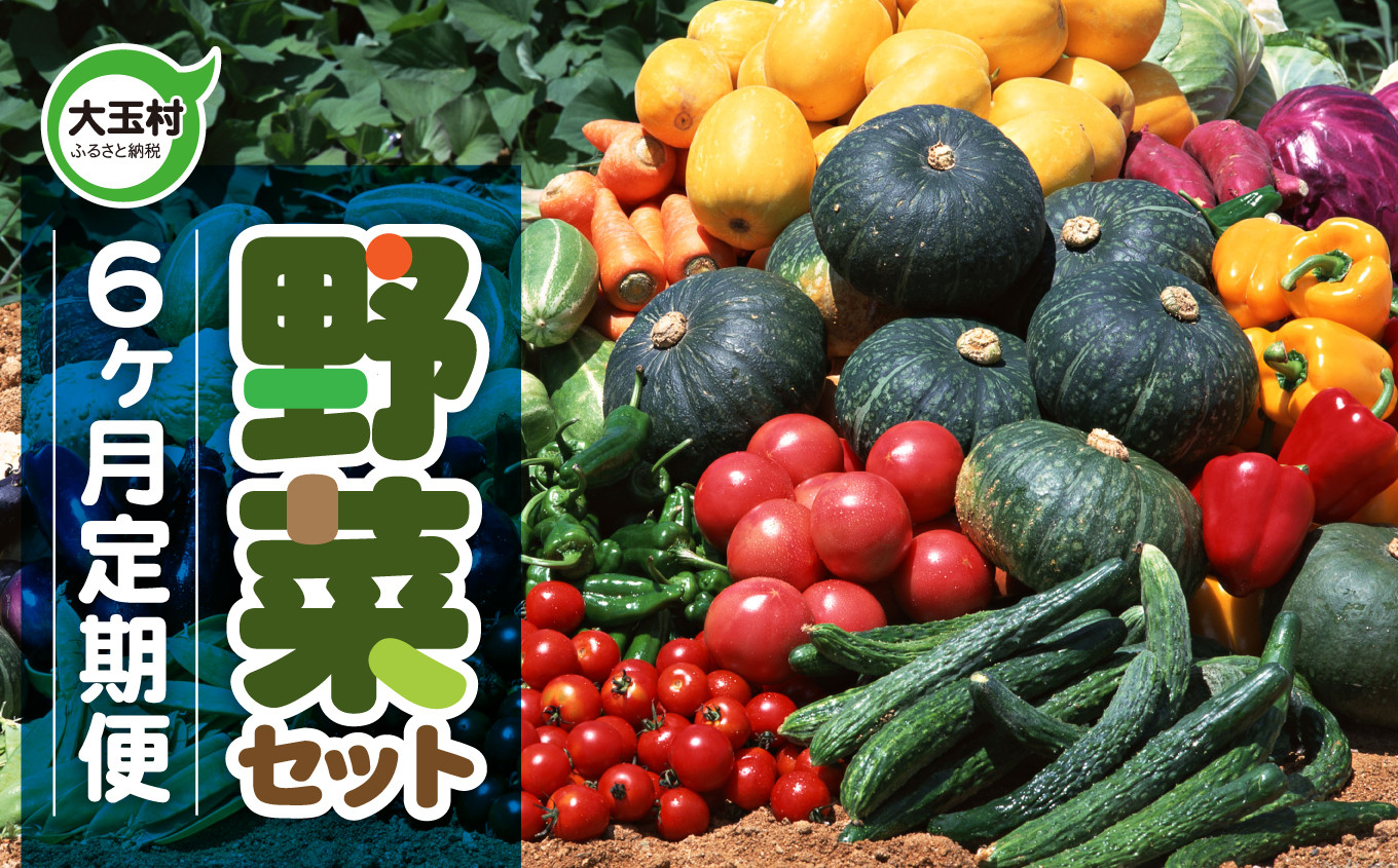 
            野菜 セット 6ヶ月 (全6回)  先行 予約・ 定期便 旬 の 野菜 10品目 前後 お届け 2025年6月以降順次発送｜トマト 大根 小松菜 ねぎ にんじん ピーマン きゅうり ナス 他｜新鮮 野菜詰め合わせ 無農薬 直送 定期 野菜便 福島県 大玉村 01108
          