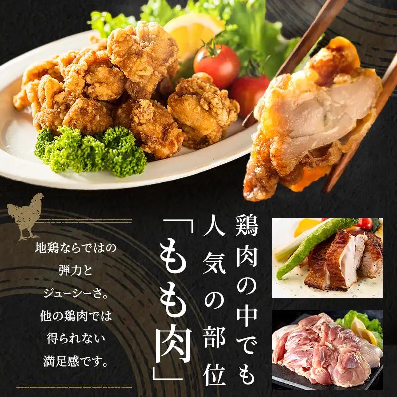 訳あり 鶏肉 地鶏 丹波 黒鶏 モモ肉 4kg もも肉 鶏もも肉