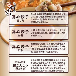 バラエティー餃子4袋セット_好き嫌いのない方におススメ バラエティー餃子 真心餃子 食べ比べ 4袋セット 青じそ にんにく鶏なんこつ 生姜 にら 4種類 餃子のまごころ本舗 福岡県 久留米市 お取り寄