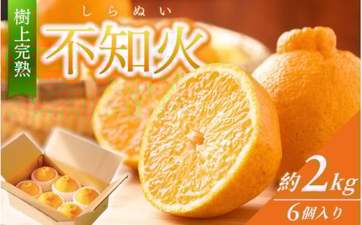 【限定】 不知火 樹上完熟 約2kg （6個入）【2026年2月下旬頃～4月中旬頃まで発送】 / 不知火 しらぬい みかん 柑橘 和歌山 かつらぎ 甘い 【KG6】