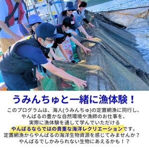 沖縄県最大級!やんばる定置網漁 体験チケット4名様【1613758】