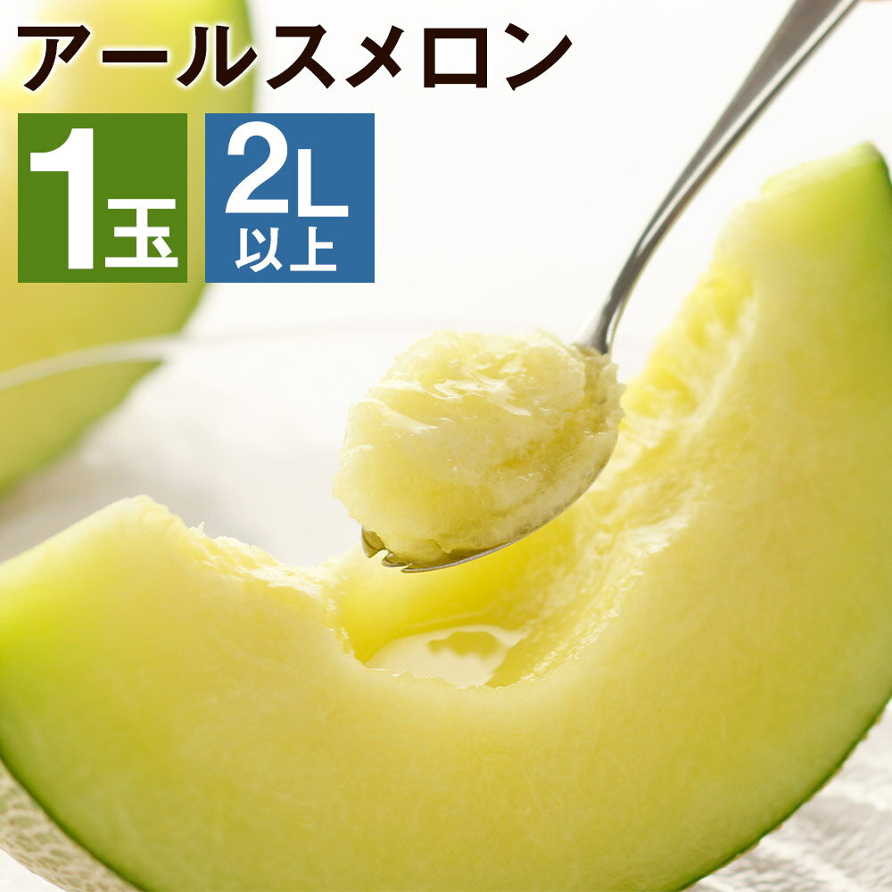 【ふるさと納税】アールスメロン 1玉 2L以上【メロンドーム】 メロン 果物 フルーツ マスクメロン 九州産 熊本県産 送料無料【2025年11月中旬まで順次発送予定】