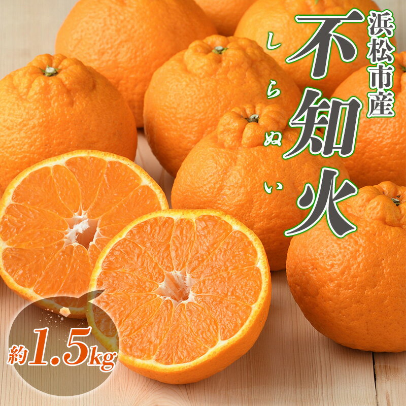 【ふるさと納税】【2027年3月より順次発送】 後藤みかん農園 不知火 （しらぬい） 約1.5kg 樹上 熟成 ハウス 果物 くだもの 旬のフルーツ 旬の果物 季節のフルーツ 季節の果物 柑橘 柑橘類 静岡 浜松市　お届け：2027年3月1日～4月10日まで