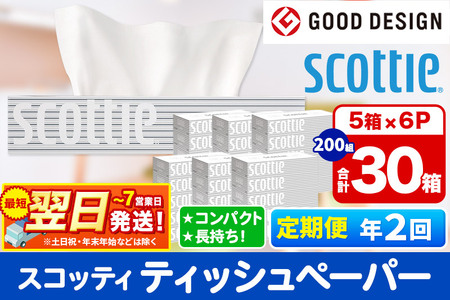 《6ヶ月ごとに2回お届け》定期便 ティッシュペーパー スコッティ 200組 30箱(5箱×6パック) ティッシュ 秋田市オリジナル