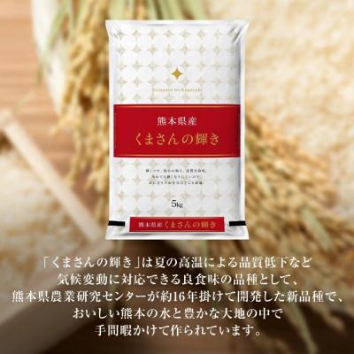 ふるさと納税 八代市 【令和7年産】 熊本県産 くまさんの輝き 5kg(5kg×1袋) 【八代食糧】 |  | 02