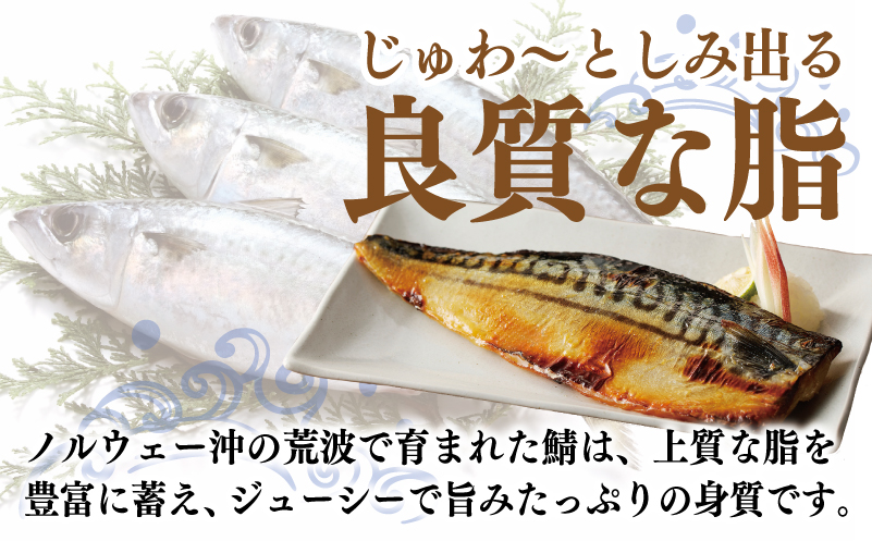 鯖 西京漬け 150g×半身6枚セット 010B1053