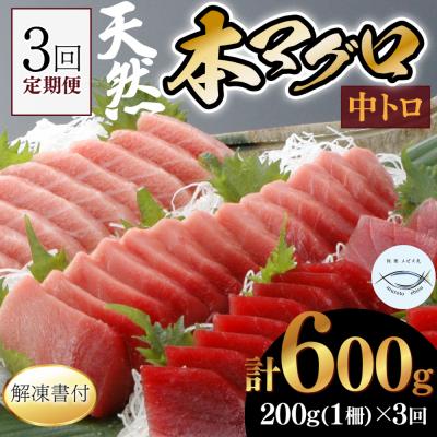 ふるさと納税 室戸市 【3回定期便】天然本マグロ　中トロ　1柵　解凍書付 海鮮 魚介 鮪 惣菜 冷凍 クロマグロ まぐろ