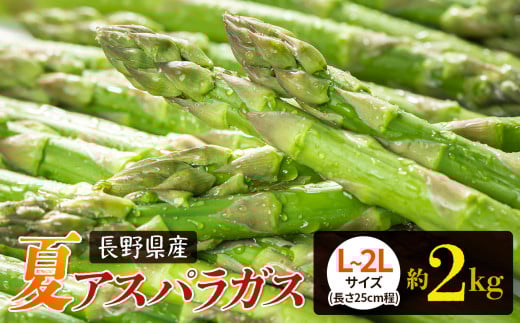 夏 アスパラガス 約2kg 農家直送 ハウス栽培（路地栽培あり）| 野菜 やさい ヤサイ 根物 ねもの ネモノ アスパラ あすぱら アスパラガス あすぱらがす 夏 旬 出荷 長野県 木島平村 ハウス栽培 路地栽培 農家 直送