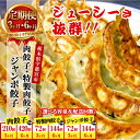 【ふるさと納税】【楽天限定】【定期便】【選べる配送回数】宇都宮餃子専門店 悟空 肉餃子 特製肉餃子 ジャンボ餃子 3ヶ月 6ヶ月 ※離島への配送不可