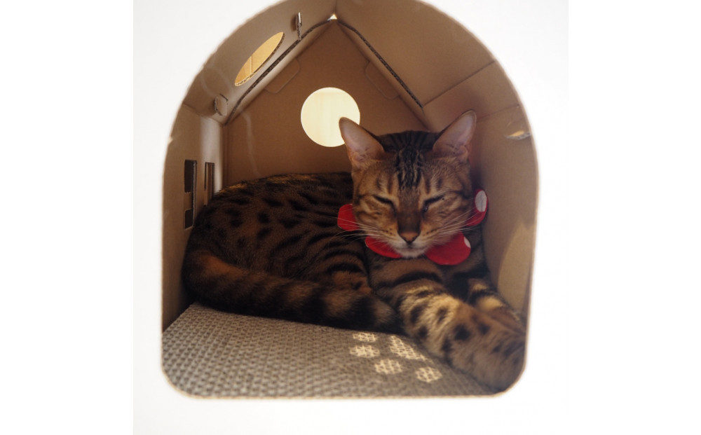 【白色】キャッツプレイハウス＆専用つめとぎ10枚セット