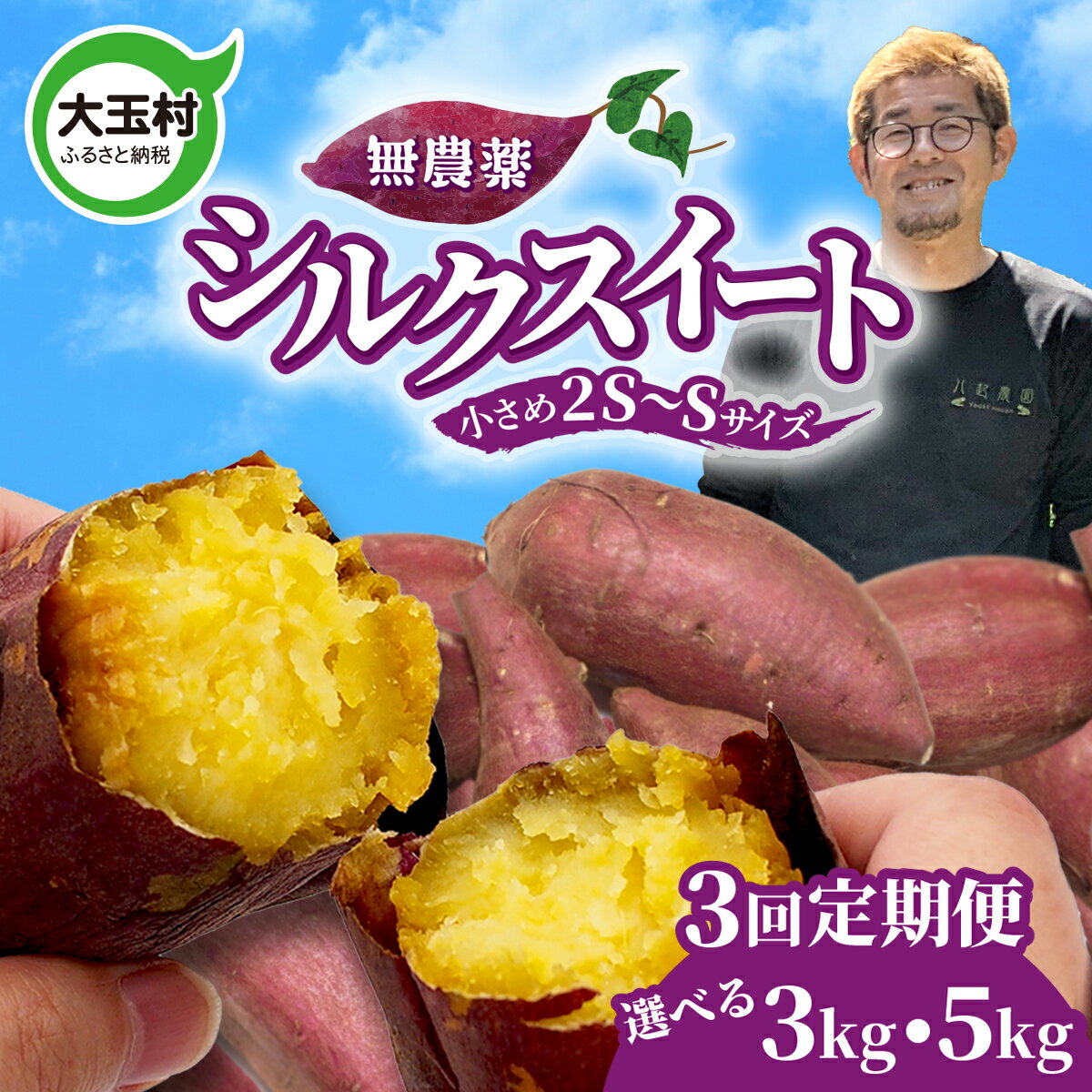 【ふるさと納税】定期便 無農薬 さつまいも シルクスイート 3kg / 5kg × 3ヶ月 2S〜S サイズ混合 福島県 大玉村産 国産 サツマイモ さつま芋 熟成 やきいも 焼き芋 おやつ スイーツ 野菜 | yn-sm-s-3kg-t3-r7 | yn-sm-s-5kg-t3-r7