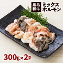 【ふるさと納税】 黒毛和牛 ミックス ホルモン 300g 入り × 2パック ふるさと納税 鹿児島市 鹿児島県産 バクロ 牧場直営 一頭買い もつ 盲腸 もうちょう 小腸 しょうちょう 直腸 ちょくちょう 赤千枚 千枚 心臓 ほるもん もつ煮込み モツ ホルモン鉄板 肉汁